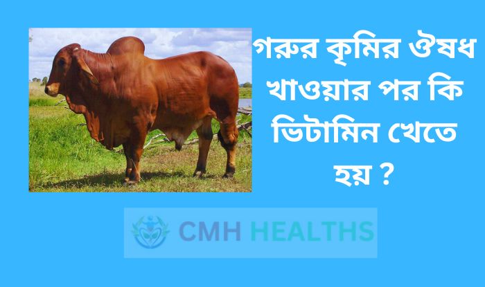 গরুর কৃমির ঔষধ খাওয়ার পর কি ভিটামিন খেতে হয়