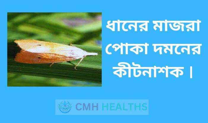 ধানের মাজরা পোকা দমনের কীটনাশক