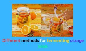 Can you ferment orange juice