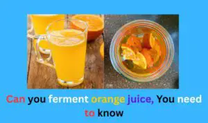 Can you ferment orange juice